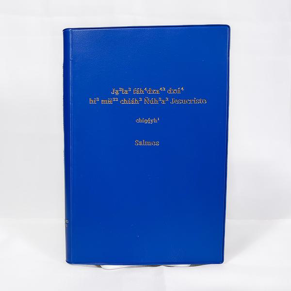 El nuevo Testamento y Salmos en el Chinanteco de Lealao